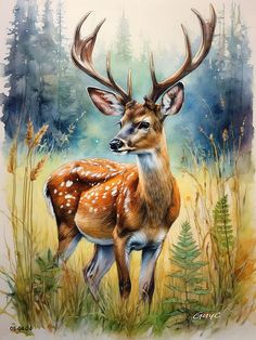 a painting of a deer standing in the grass