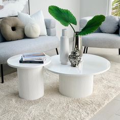 a living room with two couches and a coffee table in front of the couch