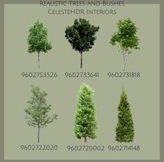 various types of trees and bushes in different sizes, from the top to the bottom