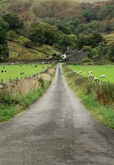 a long road with sheep grazing on the side and green hills in the distance behind it