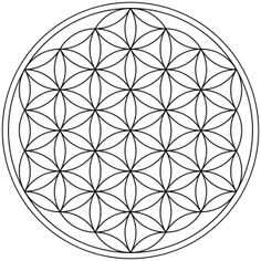 the flower of life is shown in black and white