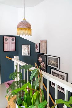 some plants are sitting on the railing in front of pictures and lights hanging from the ceiling