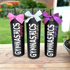 three wine bottles with bows on them sitting next to a potted plant in front of a house