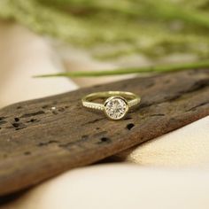 a diamond ring sitting on top of a piece of wood next to a green plant