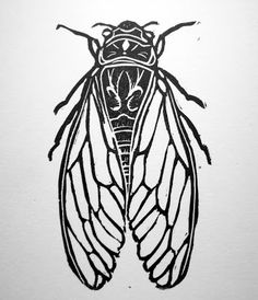 a black and white drawing of a fly insect on a white paper with the words, i