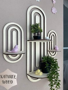 two shelves with plants on them against a wall