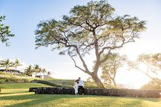 two people standing in front of a large tree