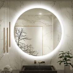 a bathroom with a round mirror on the wall and a plant in front of it