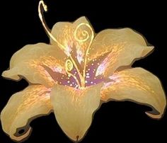 a yellow flower with swirls on it's petals is shown against a black background