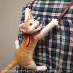 an orange and white cat is hanging from the back of a bag with it's front paws in the air