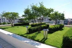 an aerial view of a lawn with trees and bushes in the foreground, surrounded by apartment buildings