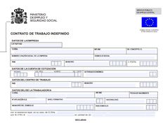 a document that has been placed in the form of a passport with an european flag on it