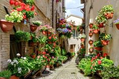 an alleyway with potted plants and flowers hanging from the side of buildings in italy