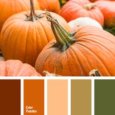 there are many pumpkins with different colors in the background, including orange and green