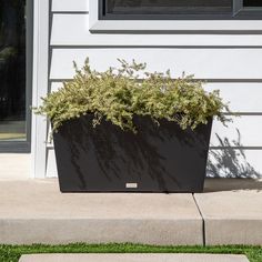 a black planter with green plants in it on the side of a white house