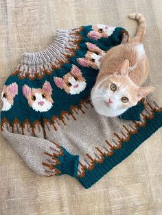 an orange and white cat laying on top of a sweater