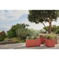 two red planters sitting next to each other in front of a tree and shrubbery