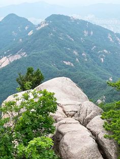 the mountains are covered with green trees and rocks in the foreground is a rocky outcrop