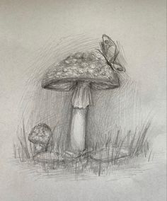 a pencil drawing of a mushroom with a butterfly on it