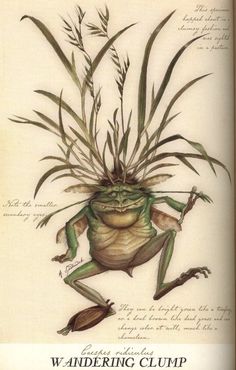 a drawing of a frog sitting on its hind legs with grass growing out of it's back