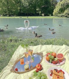 a couple of swans are swimming in the water near some fruit and waffles