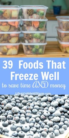 blueberries and other fruits are in plastic containers with the words 39 foods that freeze well to save time and money