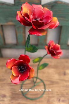 three red and yellow flowers in a vase