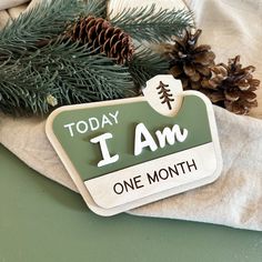 a sign that says today i am one month next to pine cones and evergreen needles