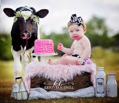 a baby sitting on top of a cake next to a cow