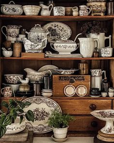 an old china cabinet filled with dishes and pots on top of wooden shelves next to a potted plant