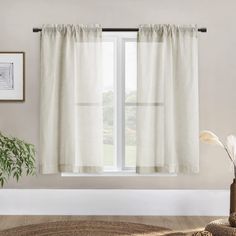 a living room with a rug, window curtain and potted plant in front of the window