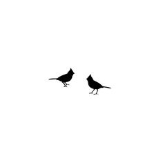 two black birds standing on top of each other in front of a white sky with no clouds