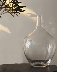 a glass vase sitting on top of a table next to a potted green plant