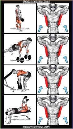 an image of a man doing exercises for back and shoulder muscles with the instructions below