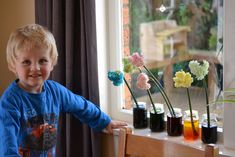 a young boy standing in front of a window next to vases filled with flowers