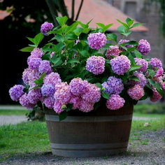 hambort™-Outdoor Artificial Hydrangea Flowers