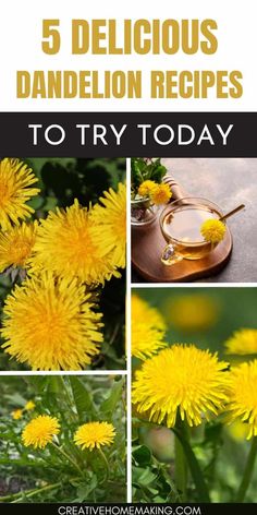 yellow dandelion flowers with the words 5 delicious dandelion recipes to try today