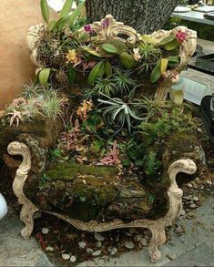 an old chair covered in moss and plants