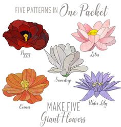 five different types of flowers with the words five patterns in one packet