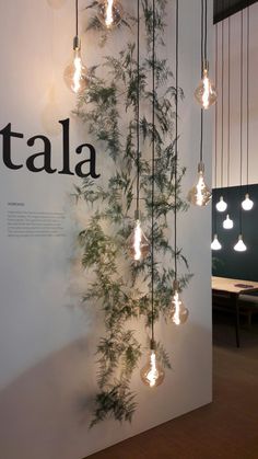 a display with plants and lights hanging from it's sides on the wall in front of a sign that says tala