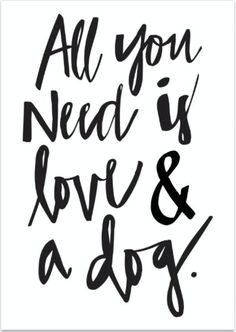 the words all you need is love and a dog are written in black on a white background