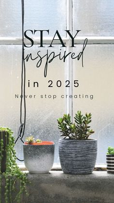 two potted plants sitting next to each other on a window sill with the words stay inspired in 205 never stop creating