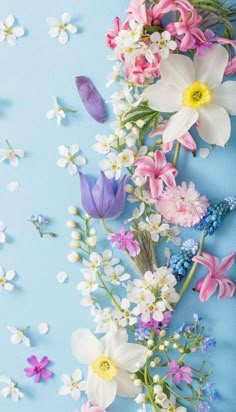 an arrangement of flowers on a blue background with white, pink and purple flowers in the center