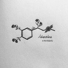 the logo for adoreline cannabiss is shown in black and white on a paper background