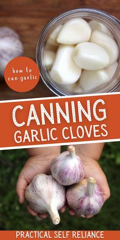 garlic cloves in a jar with the title canning garlic cloves practical self reliance