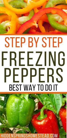 peppers with the words, step by step freezing peppers best way to do it