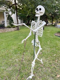 a skeleton holding a stick in the grass