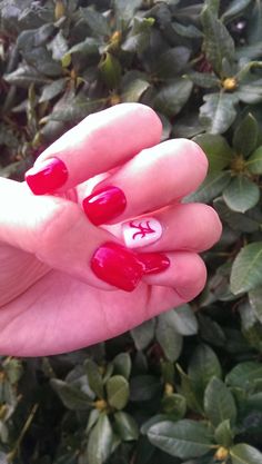 Alabama nails! #RollTide #Bama #NailArt Roll Tide Nail Designs, Alabama Manicure