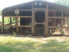 a chicken coop with several chickens in it