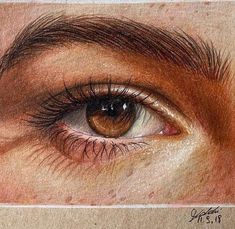 a pencil drawing of an eye with long lashes and brown eyeshade is shown